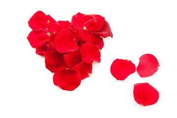 red rose petals in shape of heart
