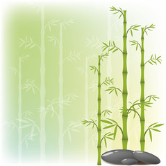 A bamboo and stone