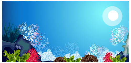 Underwater carols and weeds © zzve