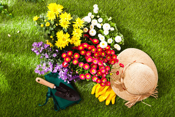 Naklejka premium Concept jardinage