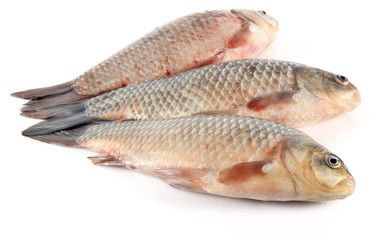 three fresh fish isolated on white background