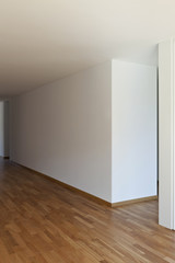 beautiful new  apartment, interior, passage.