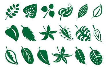 Vector leaves collection
