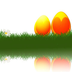 Heart on easter eggs and tropical flower on green grass with ref
