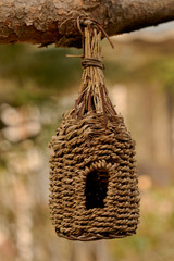 Nature friendly knitted bird house at the brach of the pine tree