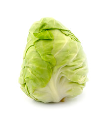 Fototapeta premium cabbage on white background
