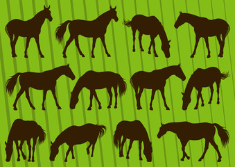Sport horse silhouettes illustration collection background