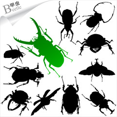 Silhouettes of insect - beetles