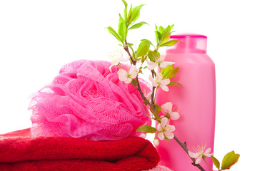 Bathing accessories, isolated.