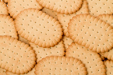 Background of cookies