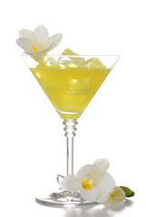 martini glass of cocktail with ice and flowers isolated on white