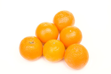 Oranges  family