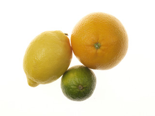 Fresh Citrus Fuits