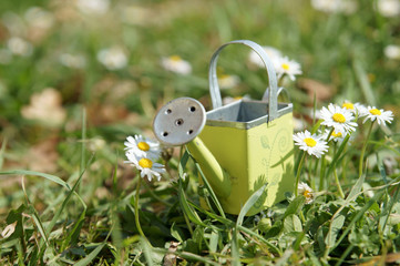 printemps - arrosoir © chris32m