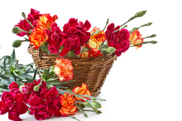 bright bouquet of carnations in a basket