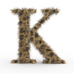 Texteffekt Haare Leopard K