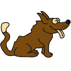 dog