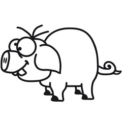 pig