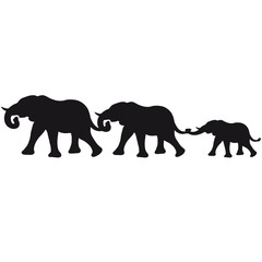 smal_elephant_family
