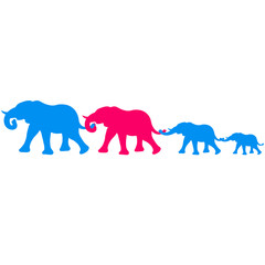 elephants