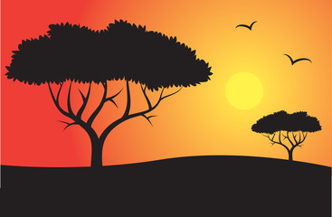 Safari Silhouette with trees and sun