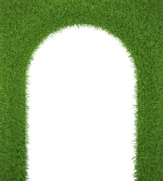 green grass frame, as a gateway to the freshness