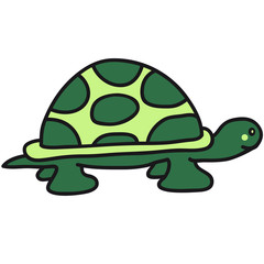 turtle