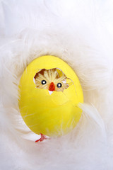 Zabawny kurczak w skorupce © bluebat