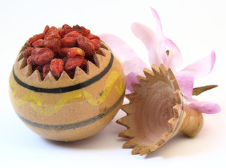 Baies séchées de goji (Lycium barbarum ou Lycium chinens)