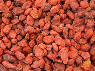 Baies séchées de goji (Lycium barbarum ou Lycium chinens)