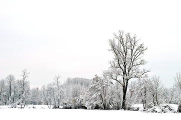Snowy almost monochrome panorama