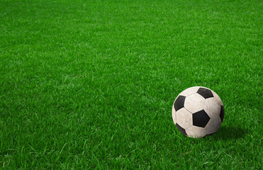 Fototapeta premium soccer ball on green grass