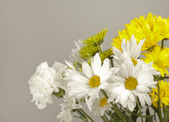 white and yellow flowers