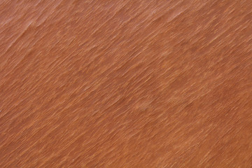 old wood texture (for background)