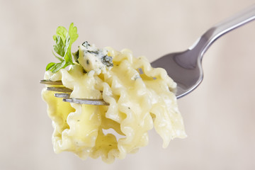 European cuisine. The pasta wound on a fork
