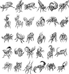 Predatory Insects vol 1