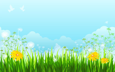 Summer background. Grass, flowers, sky.