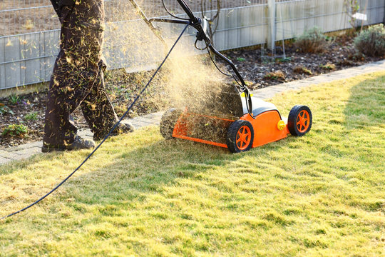 True temper shop lawn scarifier