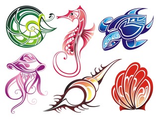 Obraz premium Vector collection of seashells and sea animals