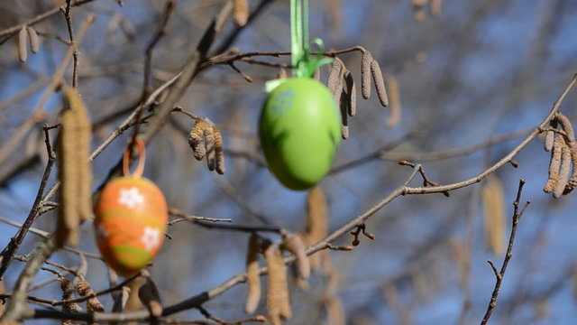 two easter eggs on nutwood branches and wind