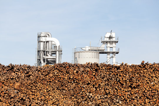 Holz Industrie