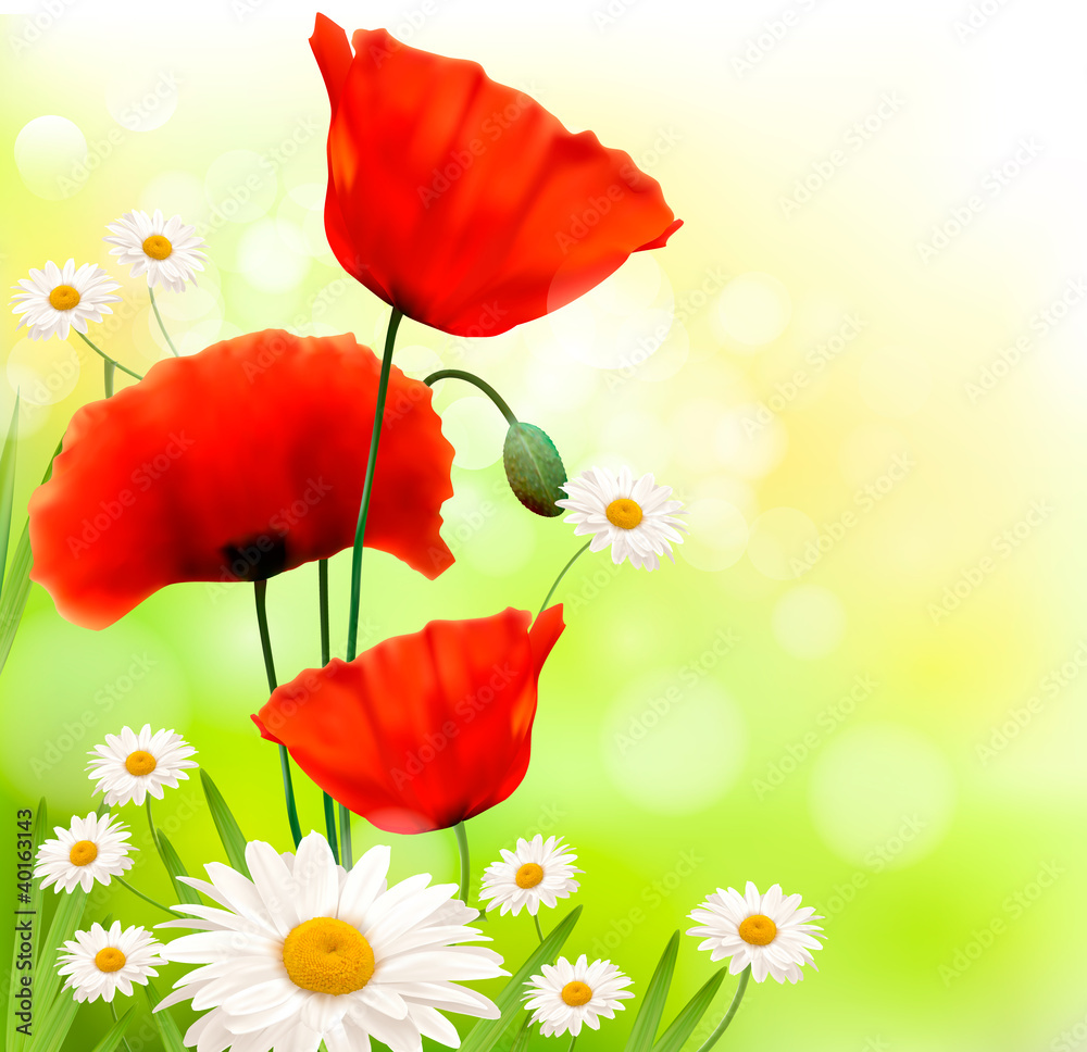 Aufkleber Spring background with red poppy and daisy. Vector