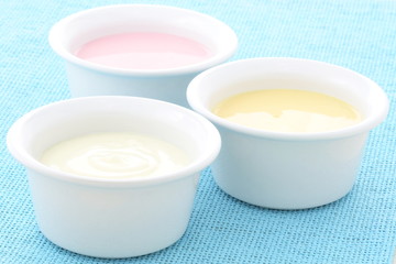 delicious fresh yogurt