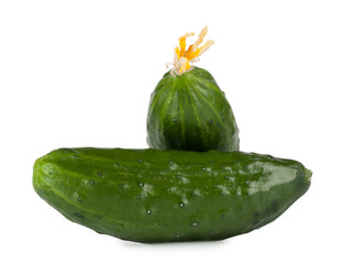 Green cucumber on each other isolated on white background