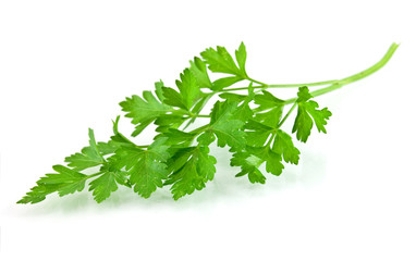 Fresh Parsley
