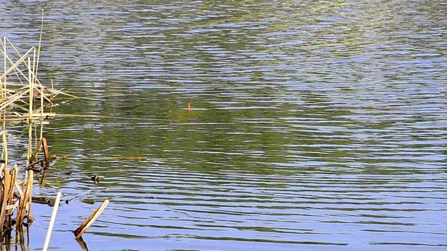 Spring fishing