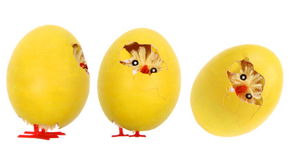 Zabawne kurczaki Wielkanocne