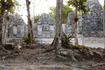 Fototapeta na wymiar Chicanna Mayan Ruins