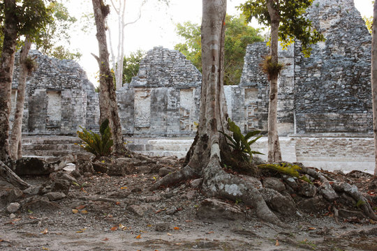 Chicanna mayan ruins