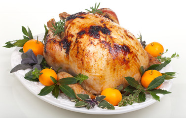Roasted turkey on white
